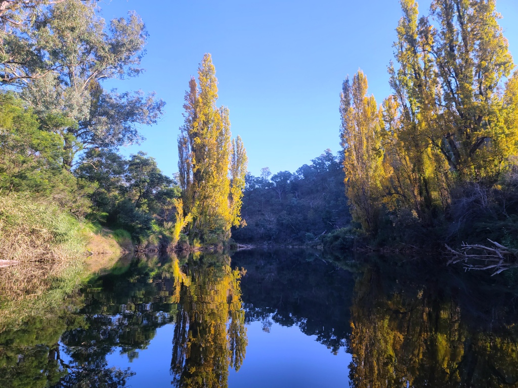 Canoeing Mitchell River