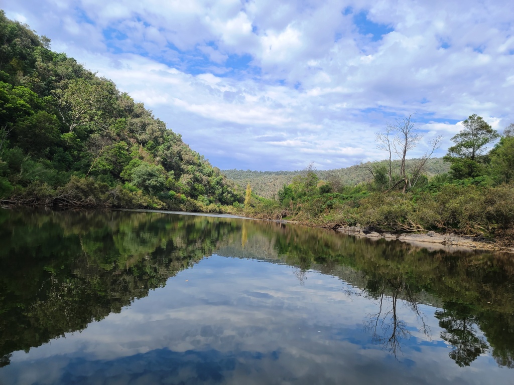 Canoeing Mitchell River