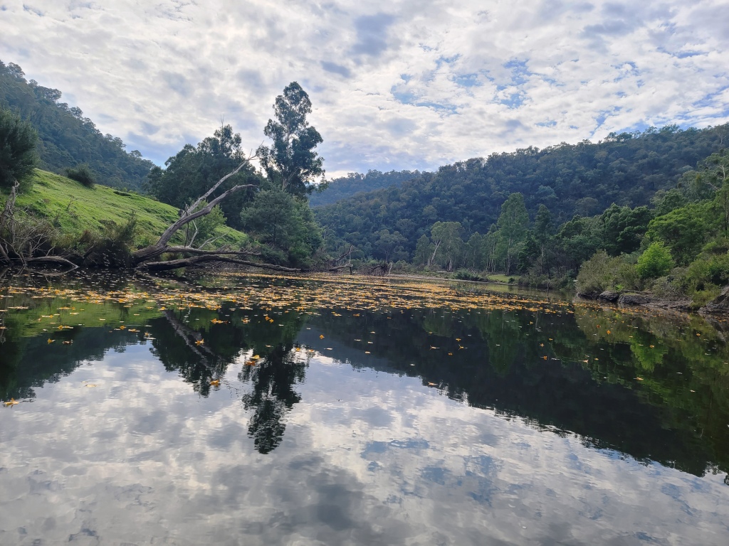 Canoeing Mitchell River