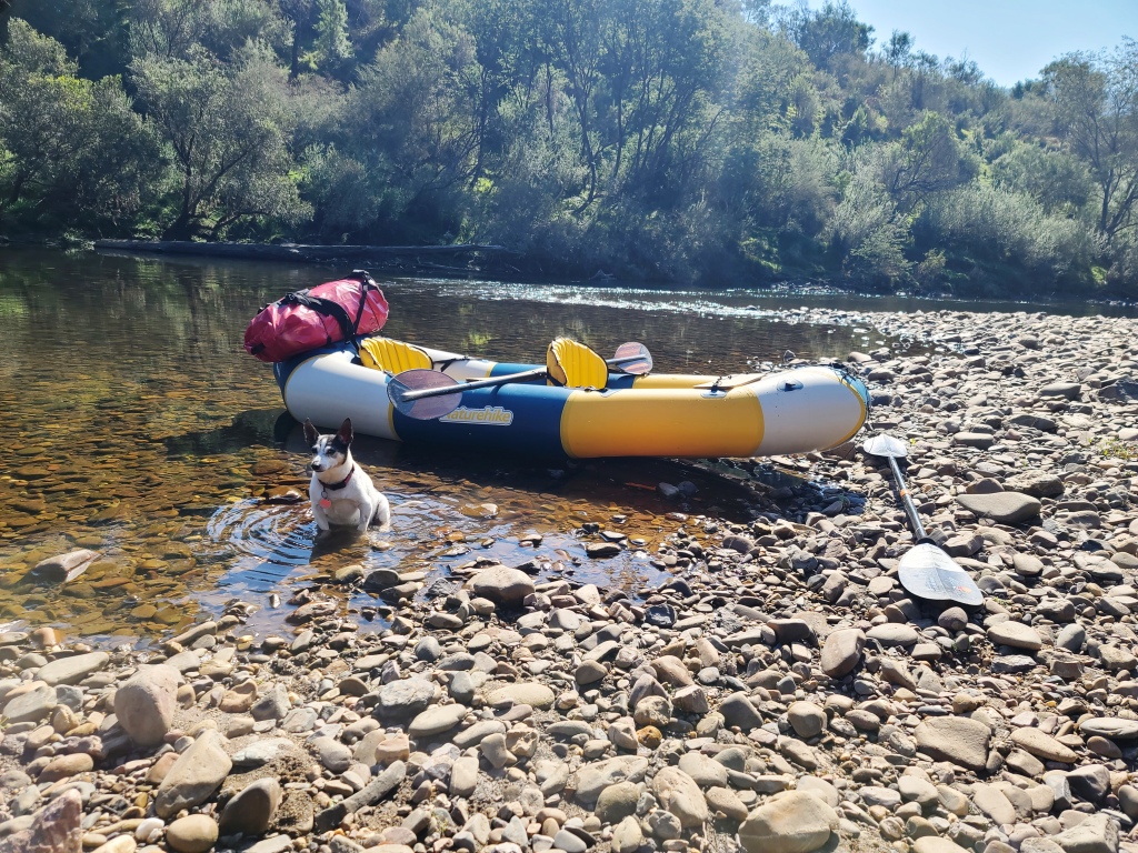 Canoeing Mitchell River