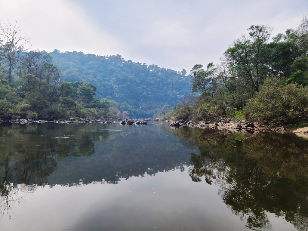 Canoeing Mitchell River