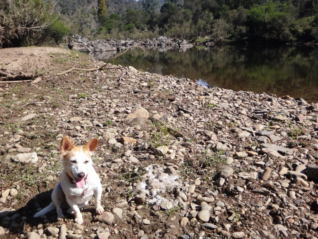 Canoeing Mitchell River