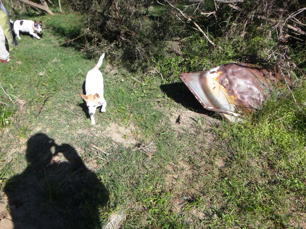 Canoeing Mitchell River