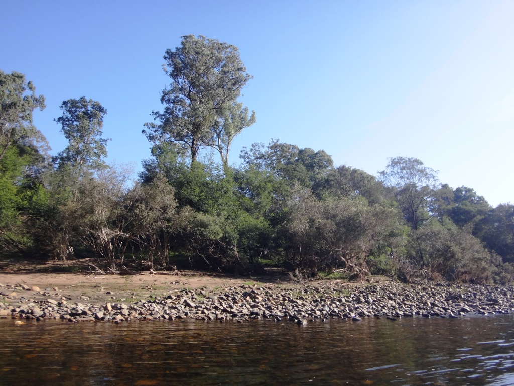 Canoeing Mitchell River