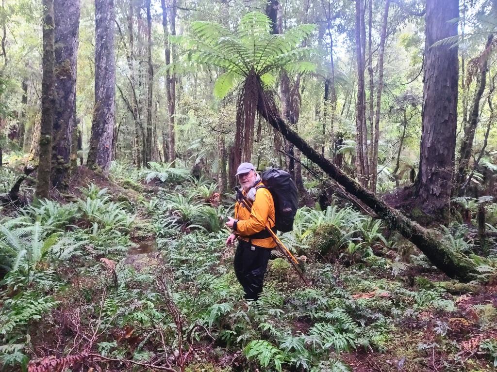 Waitutu to Long Point