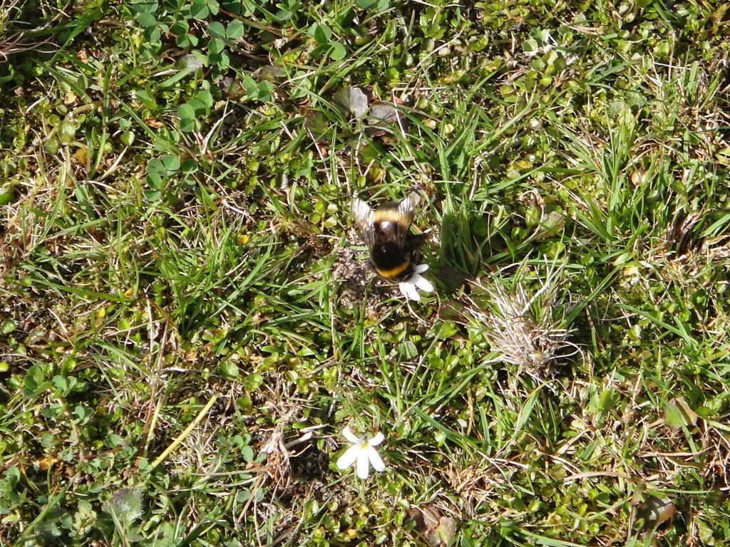 Waitutu to Long Point