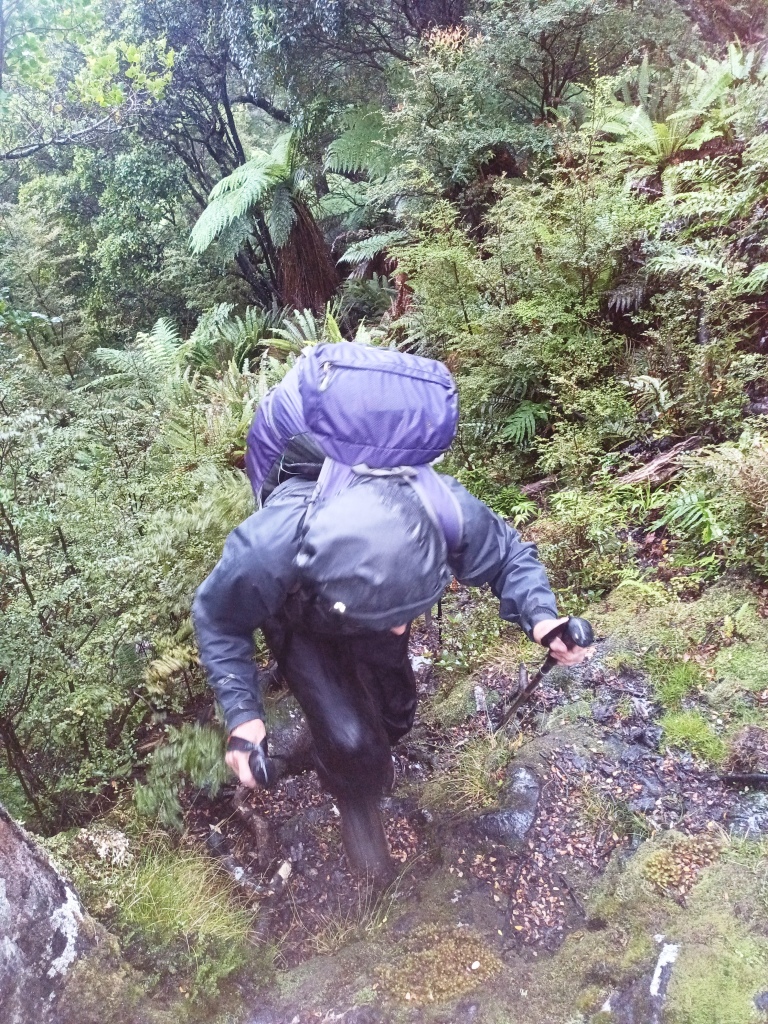 Waitutu to Long Point