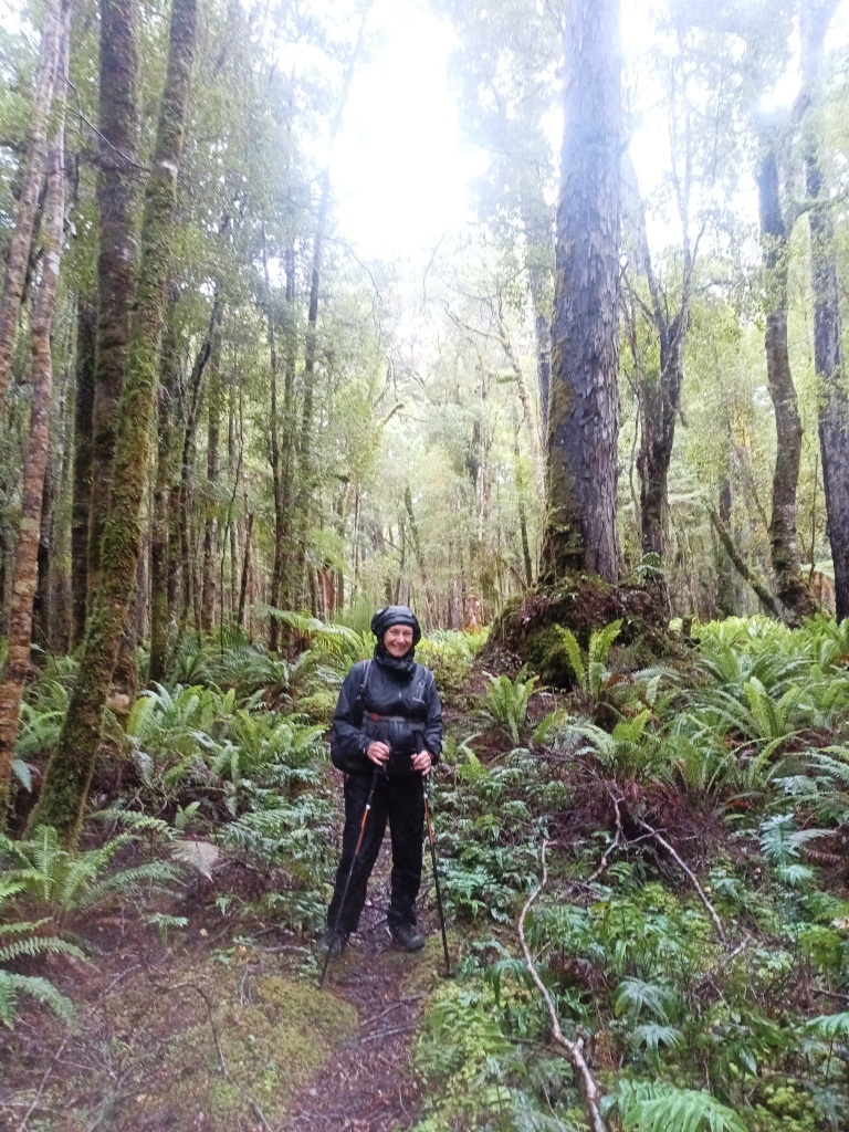 Waitutu to Long Point