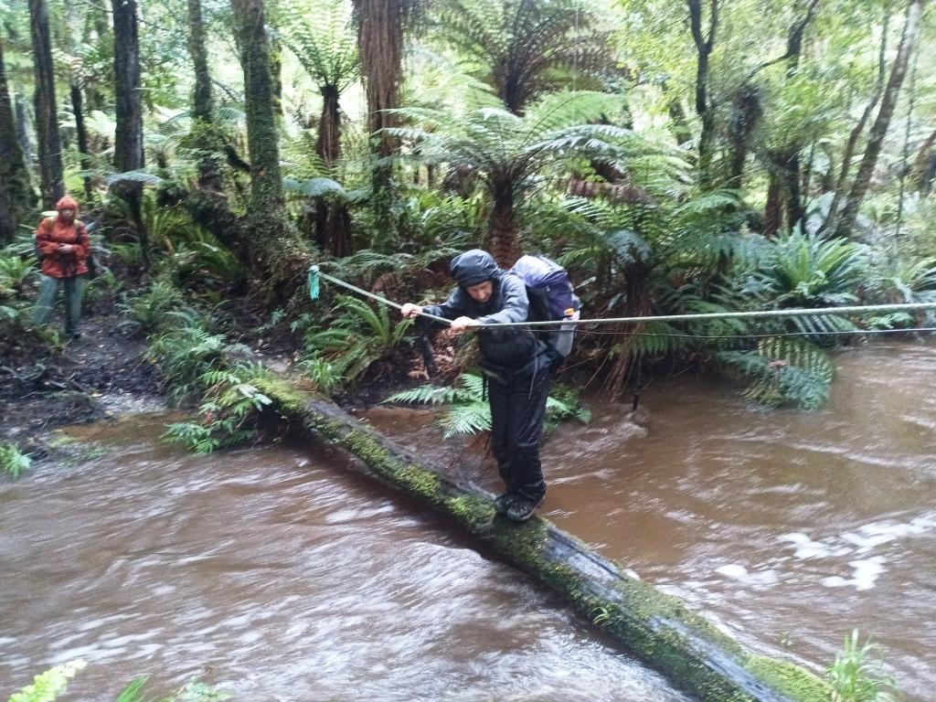 Waitutu to Long Point