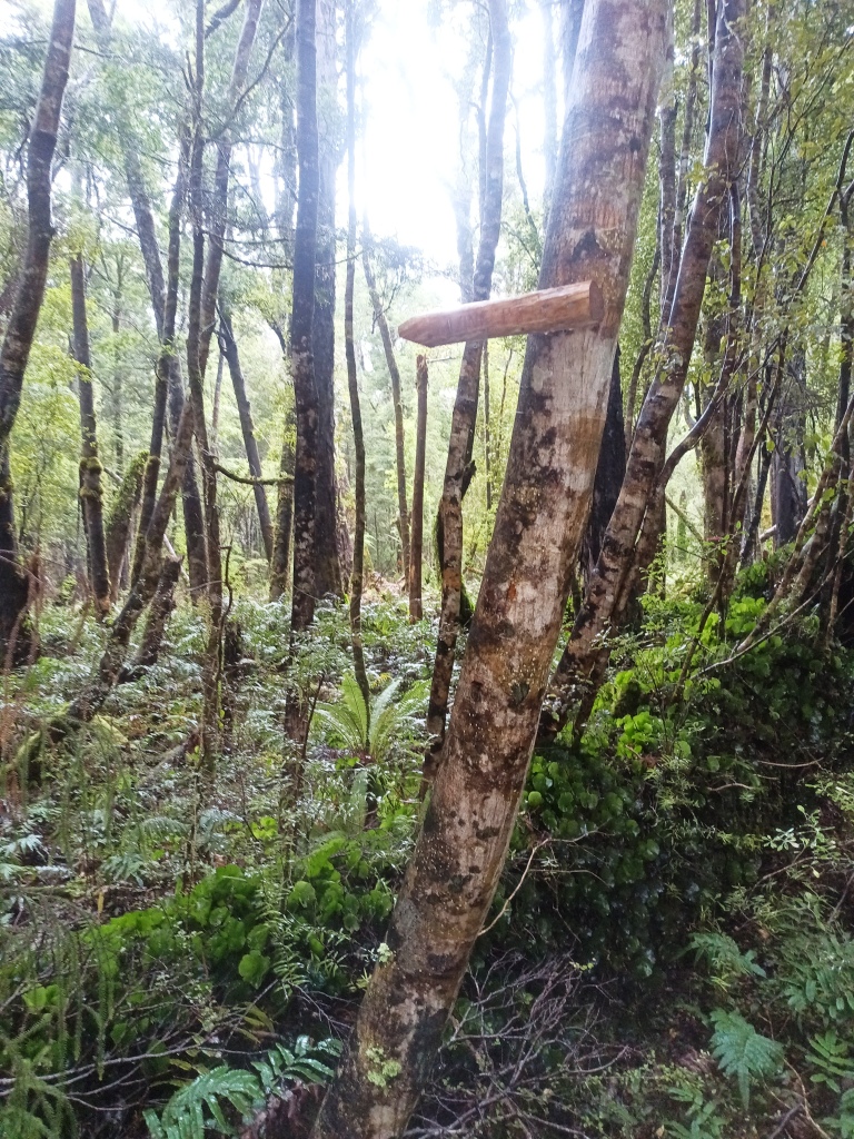 Waitutu to Long Point