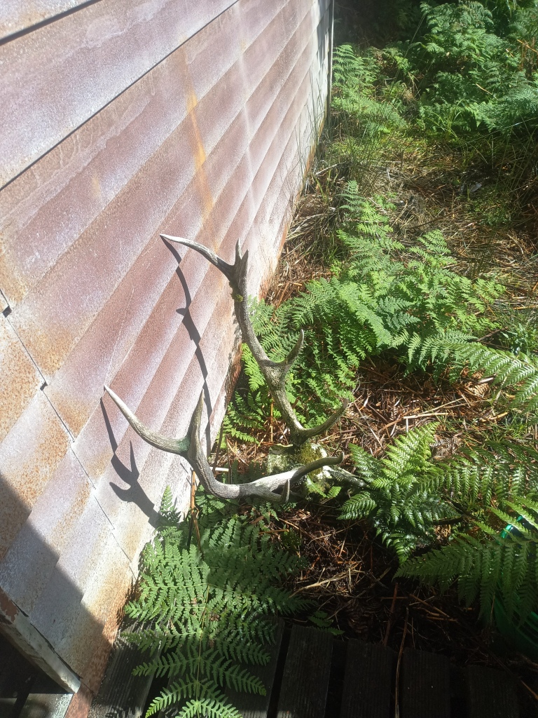 Waitutu to Long Point