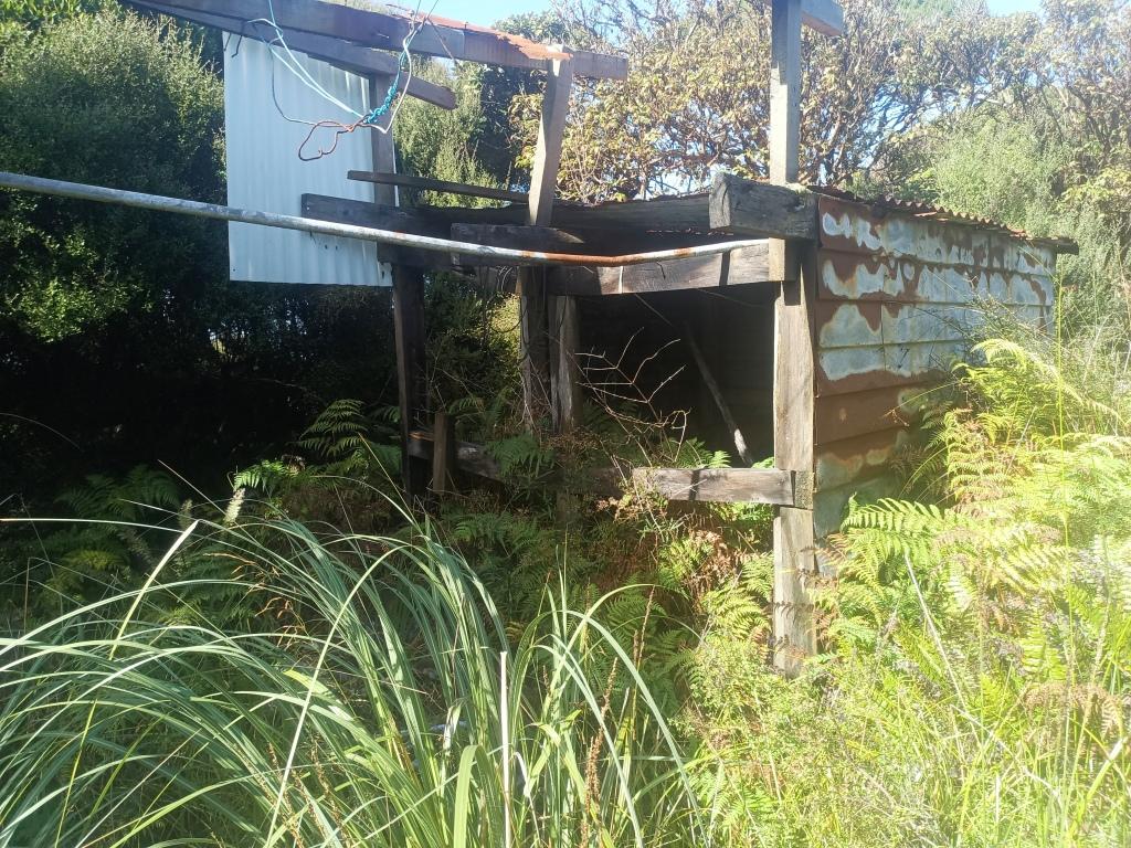 Waitutu to Long Point