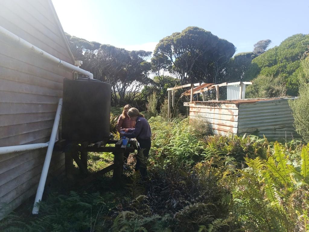 Waitutu to Long Point