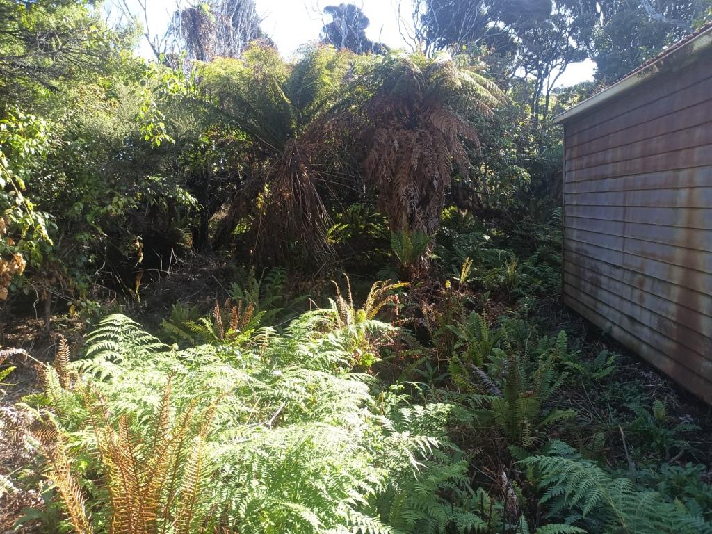 Waitutu to Long Point