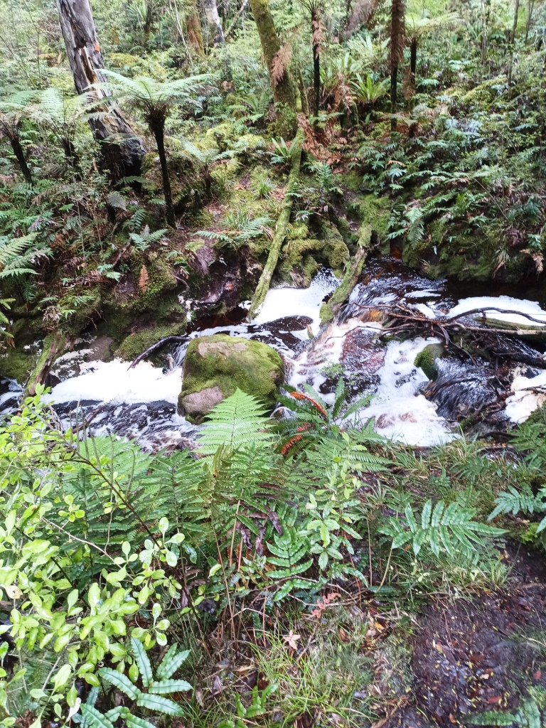 South Coast Track NZ