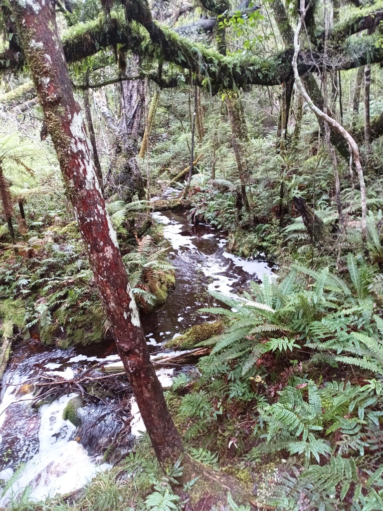 South Coast Track NZ