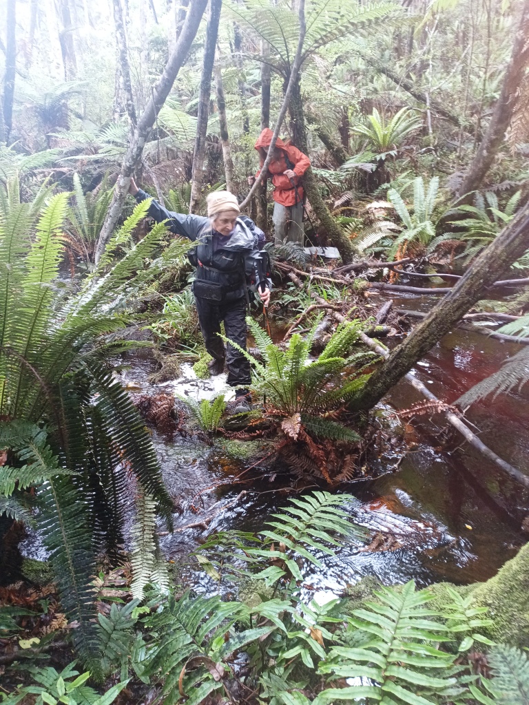 South Coast Track NZ