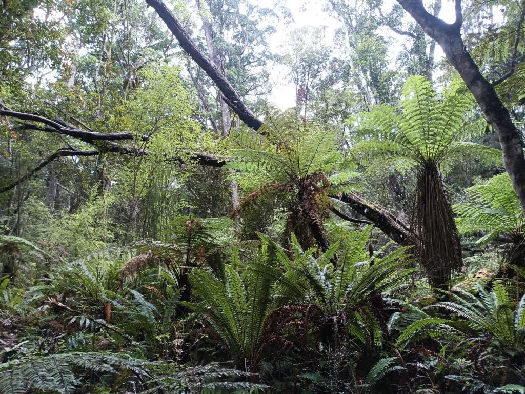 South Coast Track NZ