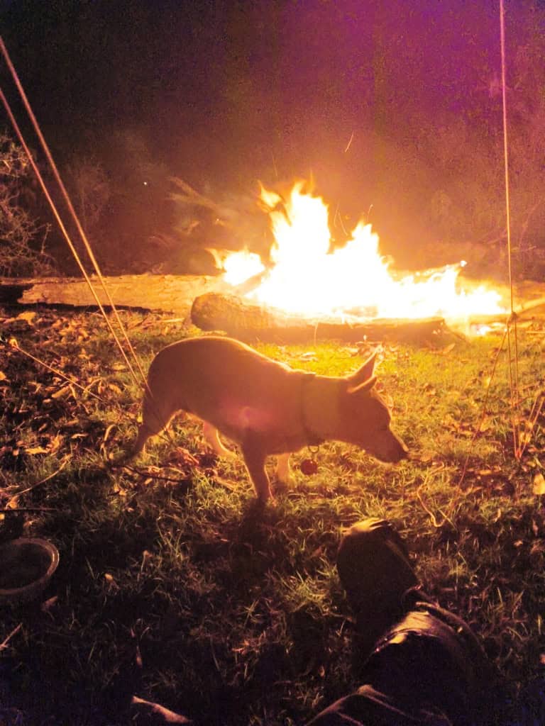 Wonnangatta River - Mt Darling Wilderness