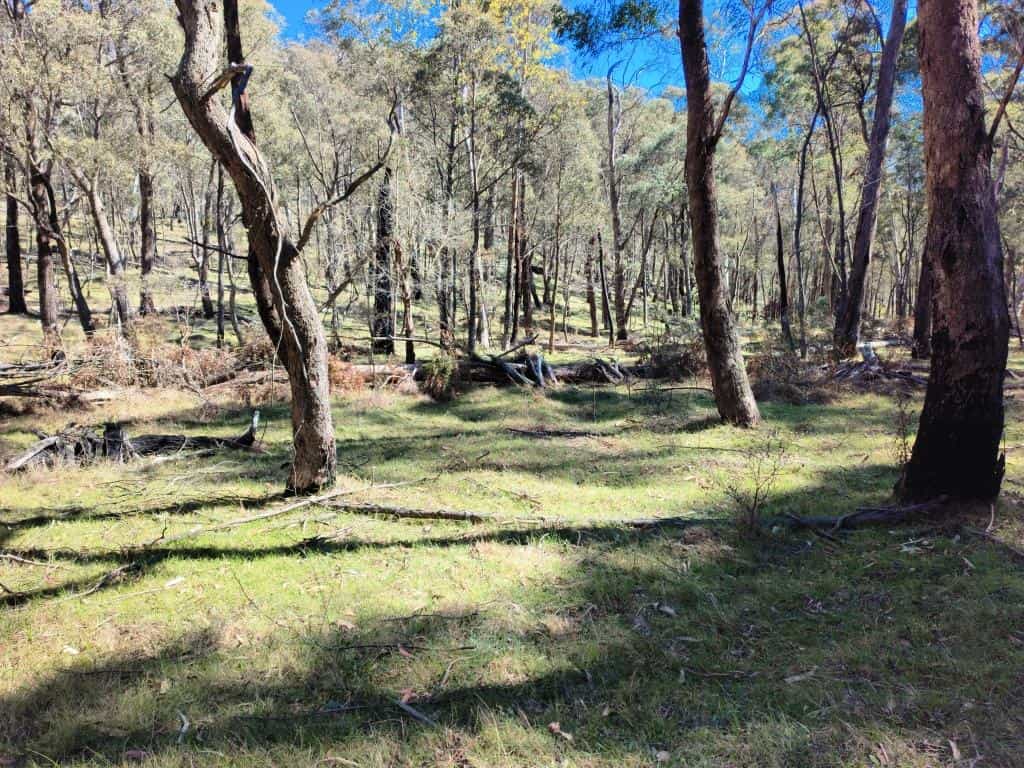 Wonnangatta River - Mt Darling Wilderness