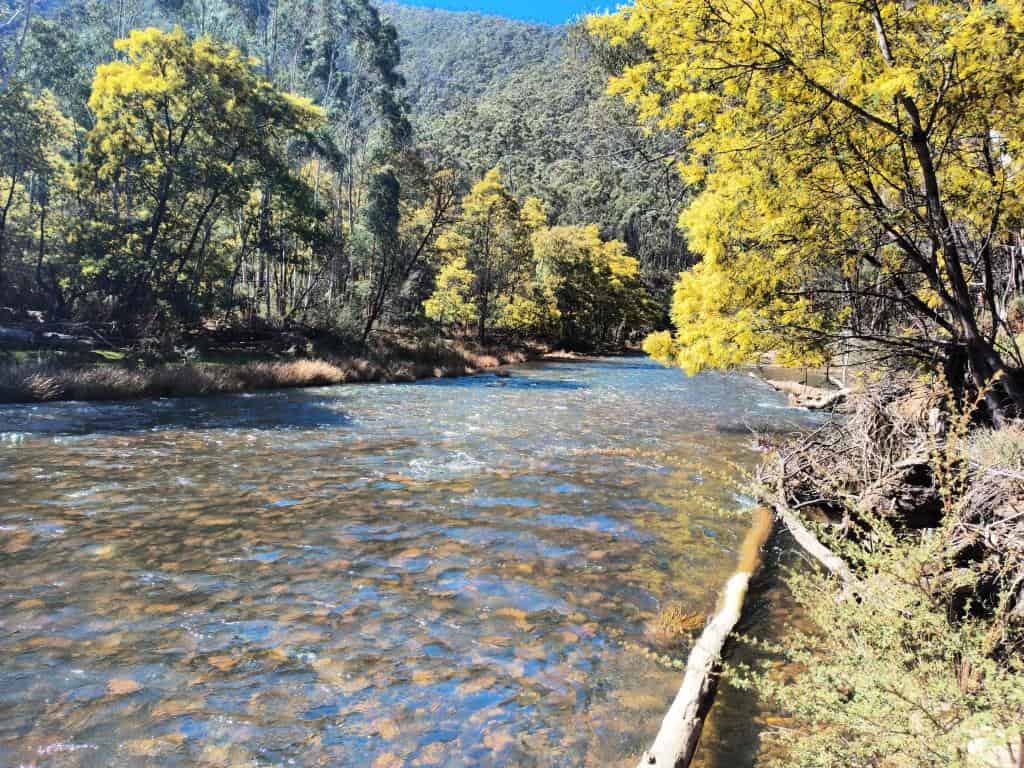 Wonnangatta River - Mt Darling Wilderness