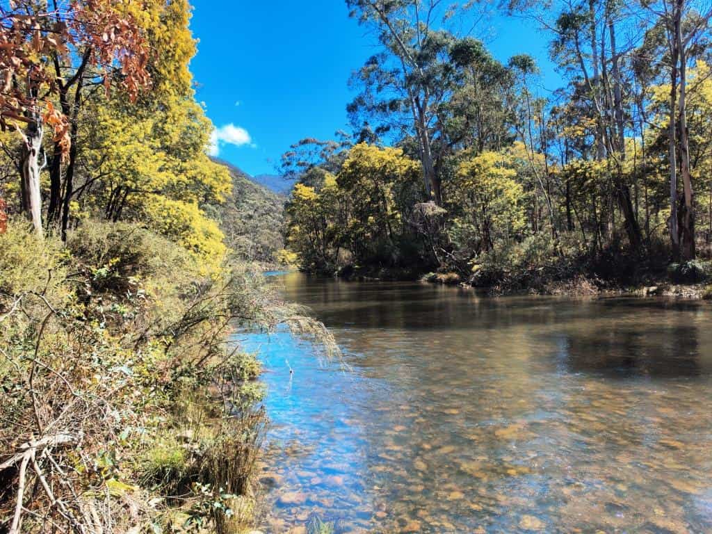 Wonnangatta River - Mt Darling Wilderness