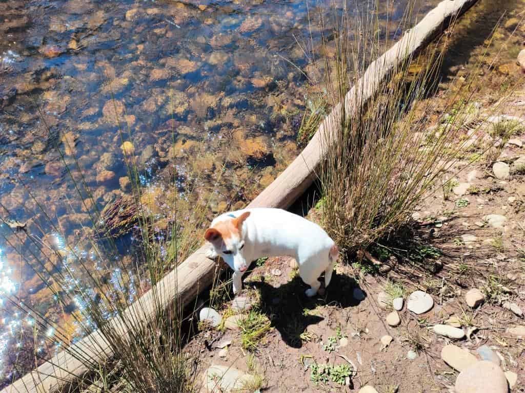 Wonnangatta River - Mt Darling Wilderness