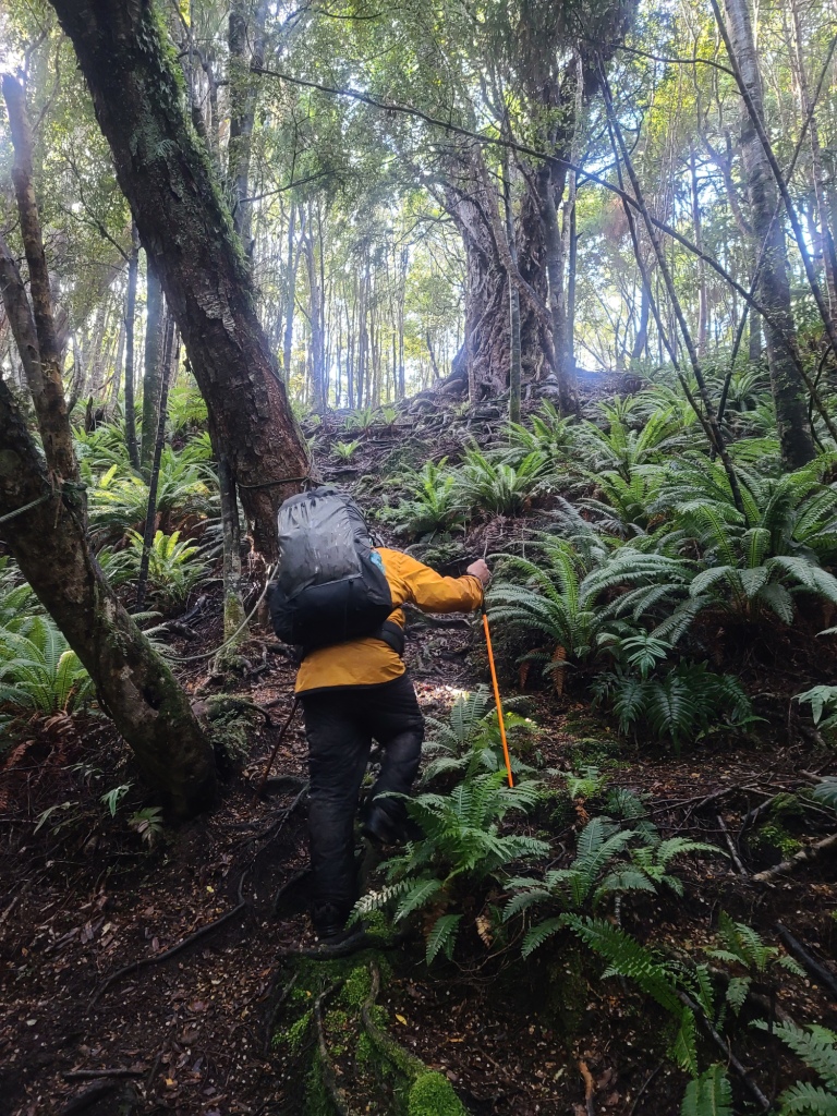 South Coast Track NZ