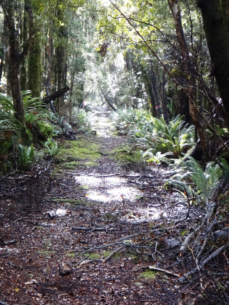 South Coast Track NZ