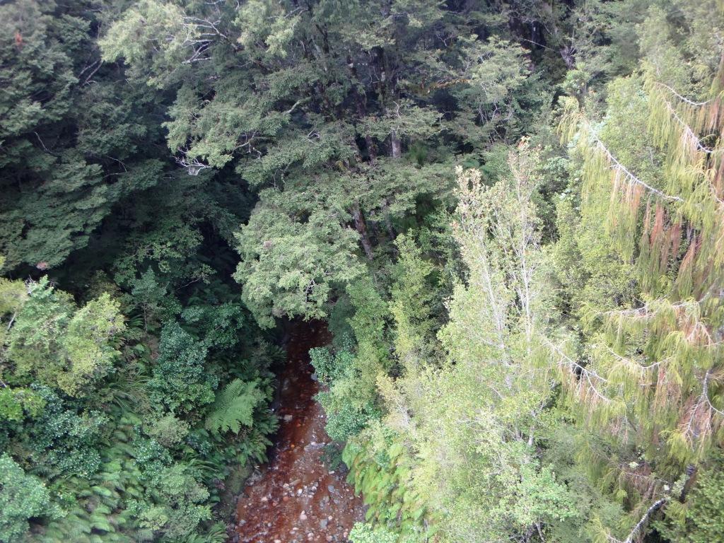 South Coast Track NZ