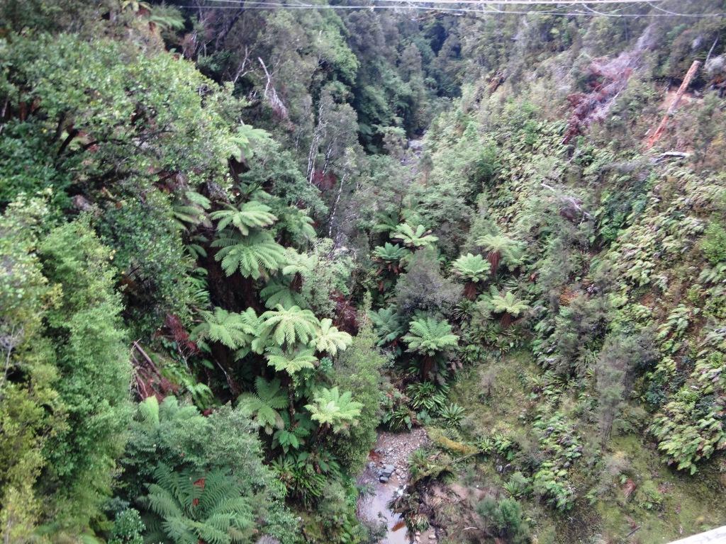 South Coast Track NZ