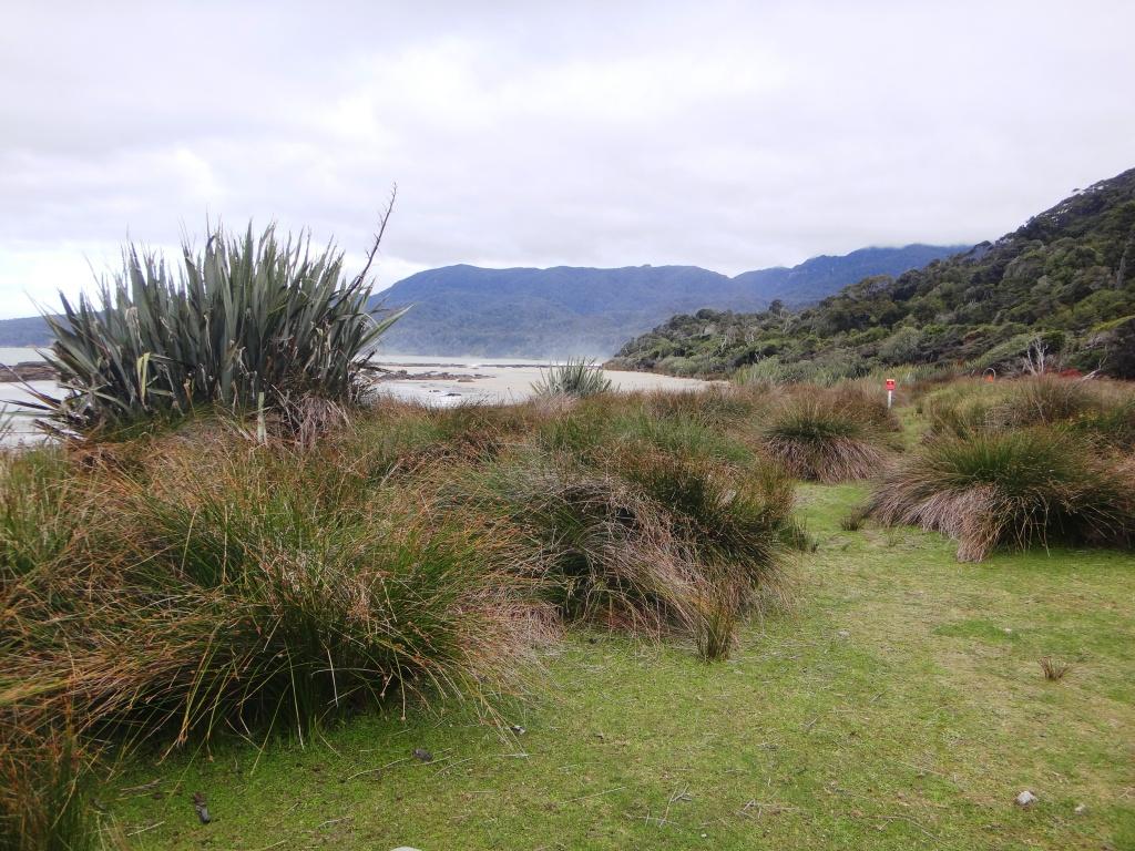 South Coast Track NZ