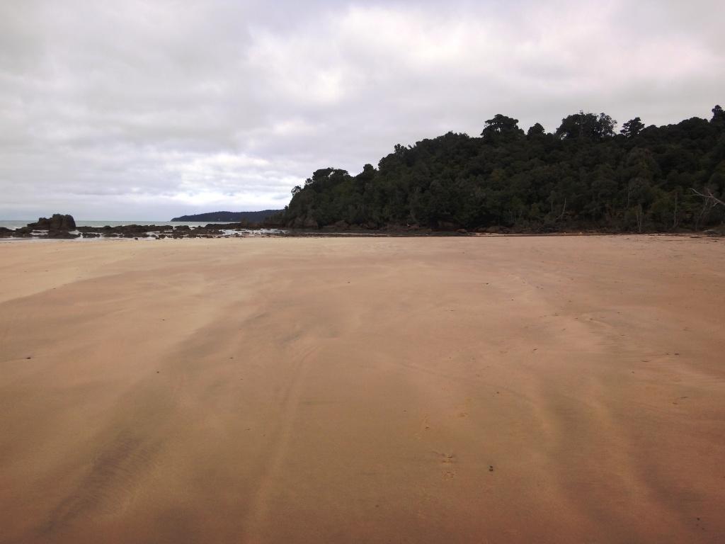 South Coast Track NZ