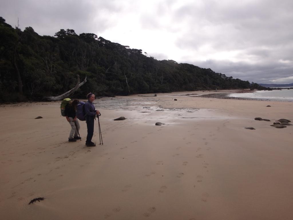 South Coast Track NZ