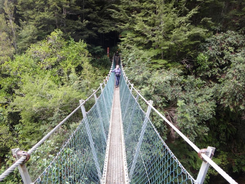 South Coast Track NZ