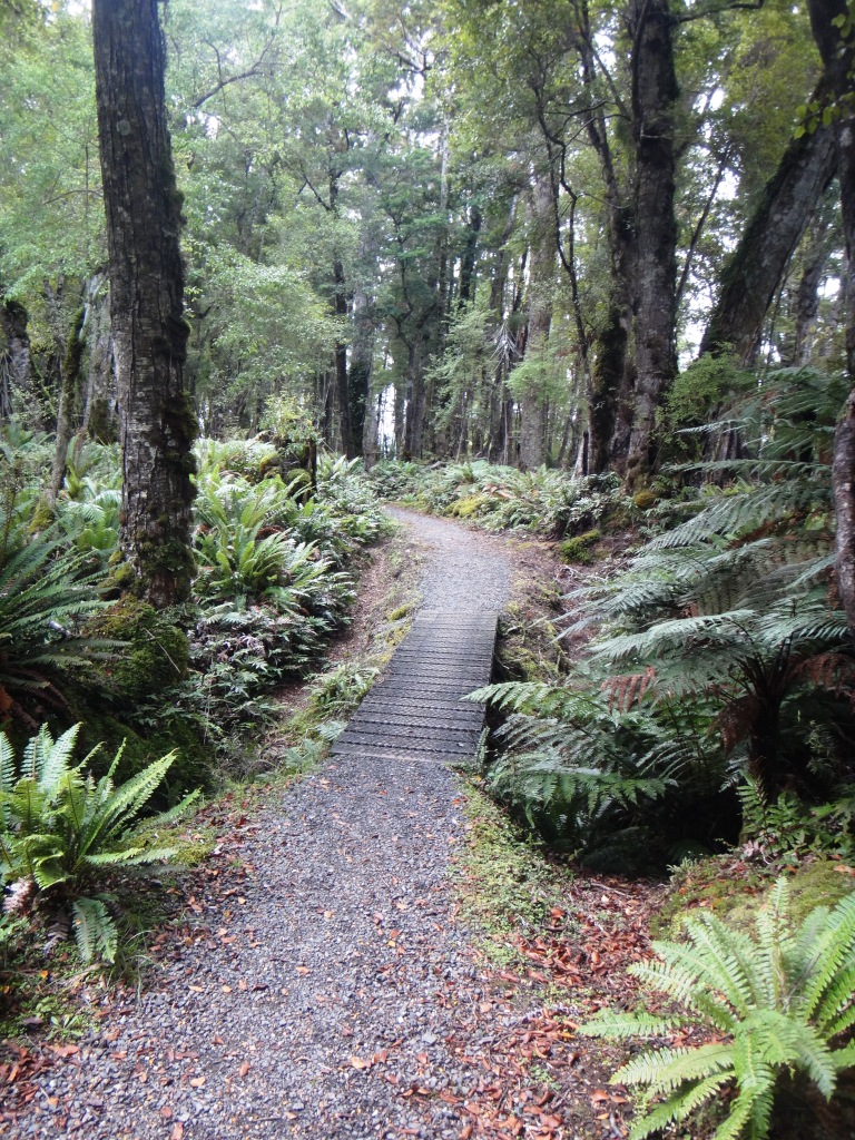 South Coast Track NZ