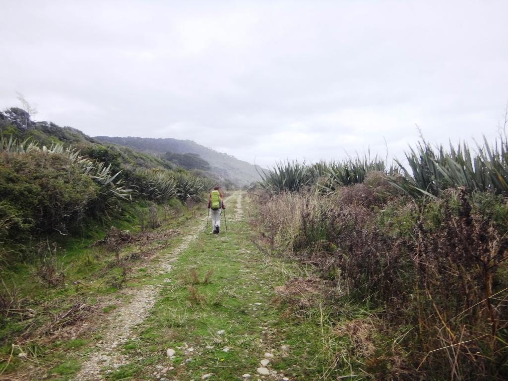 South Coast Track NZ