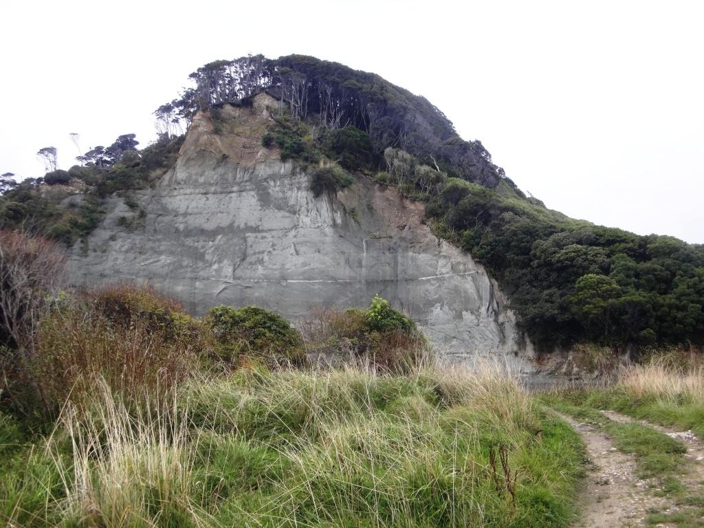 South Coast Track NZ
