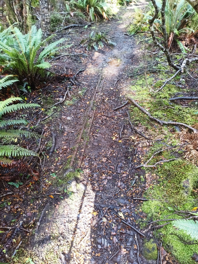 South Coast Track NZ