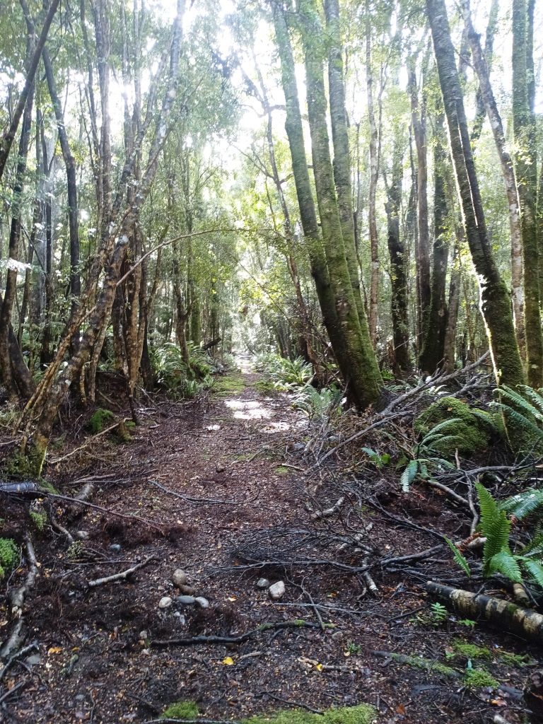 South Coast Track NZ