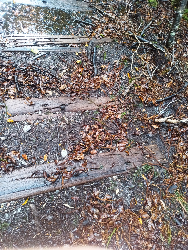 South Coast Track NZ