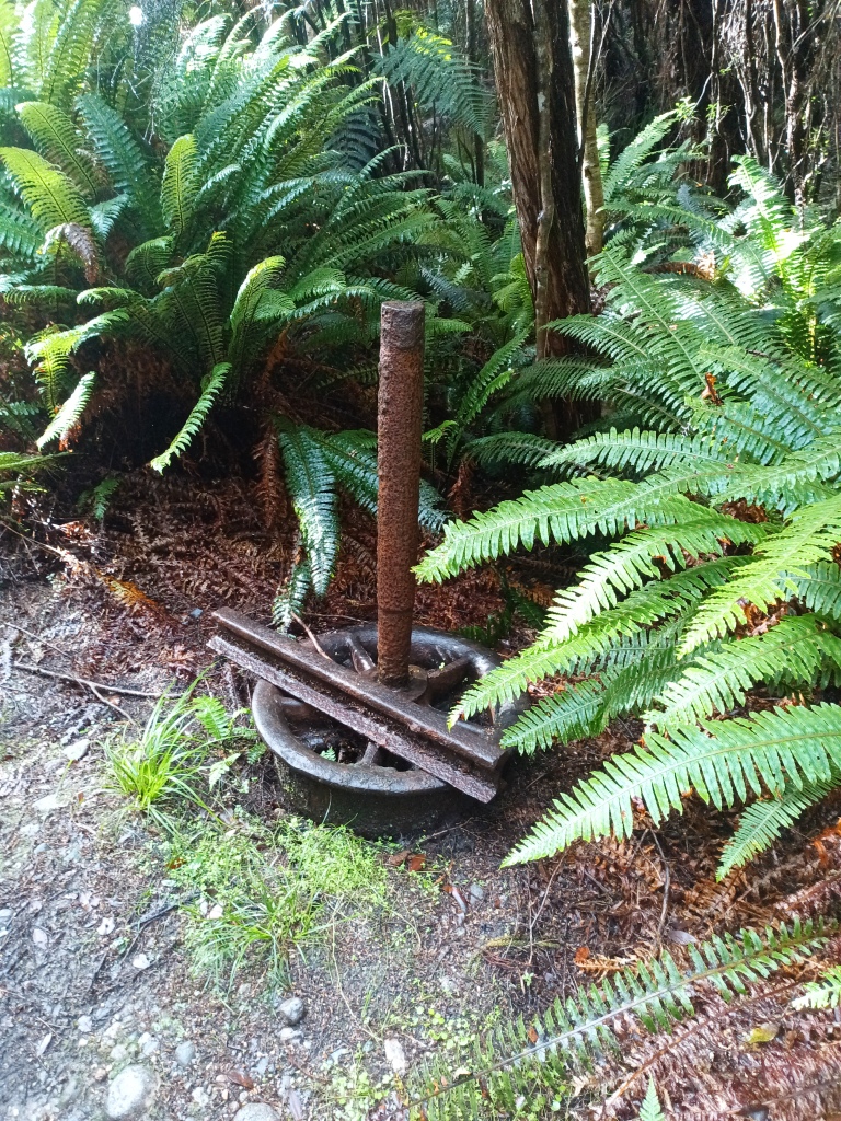 South Coast Track NZ