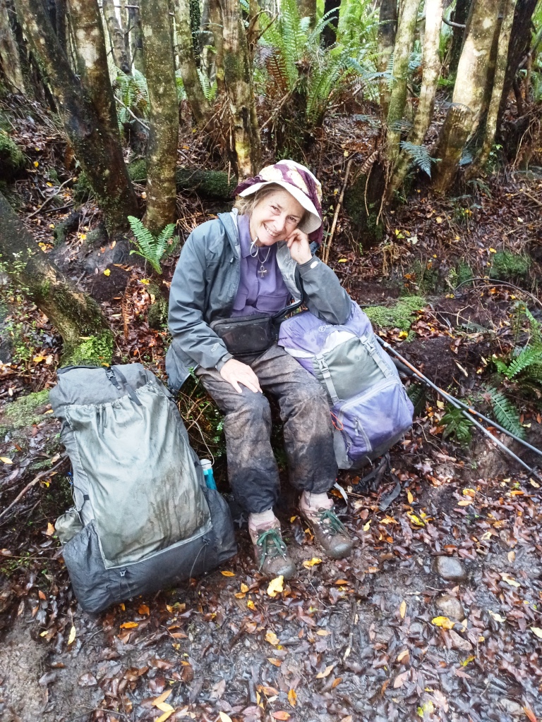 South Coast Track NZ