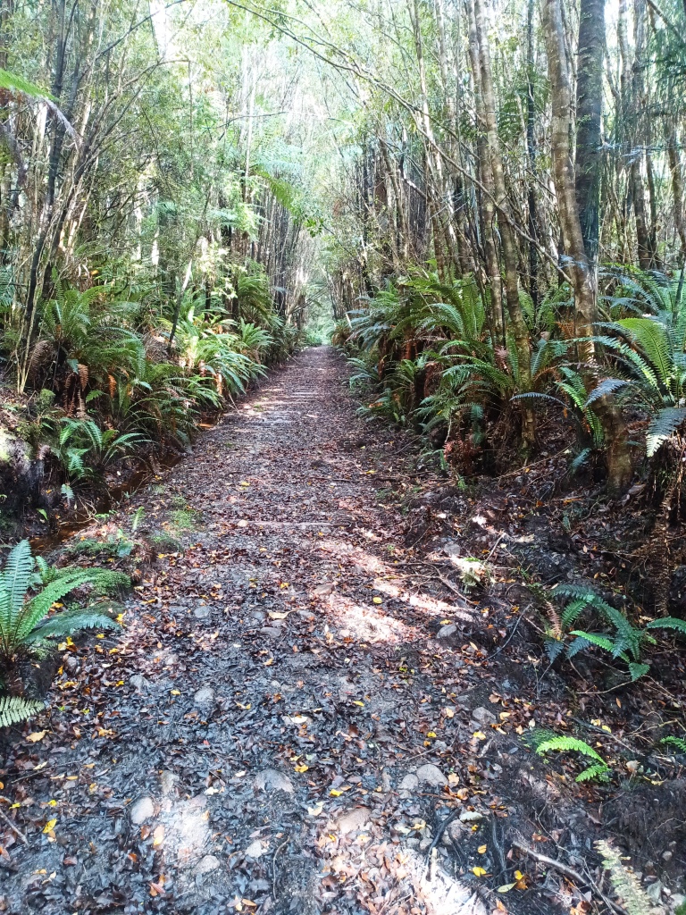 South Coast Track NZ