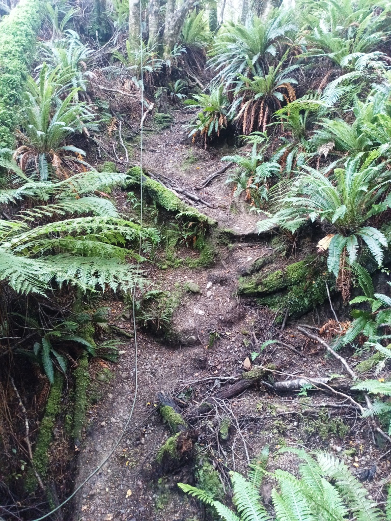 South Coast Track NZ