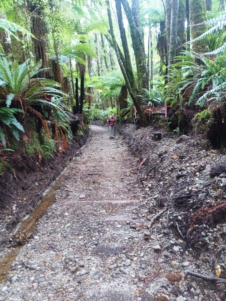 South Coast Track NZ