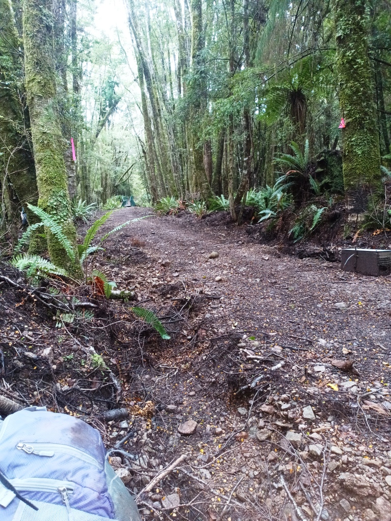 South Coast Track NZ