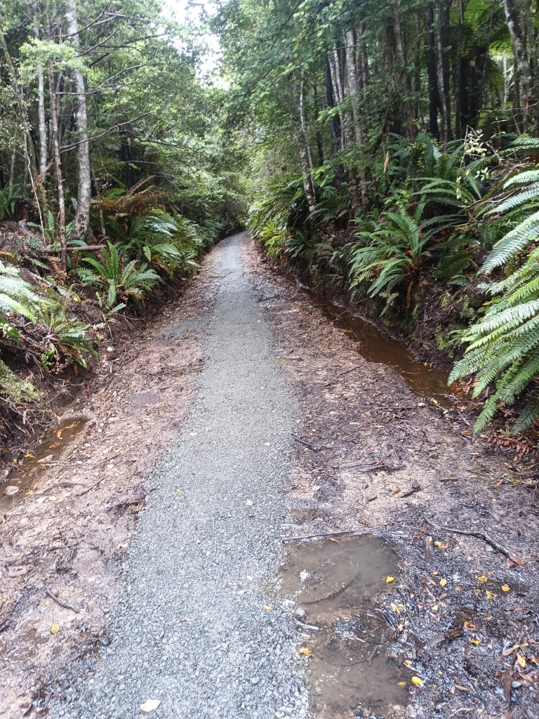 South Coast Track NZ