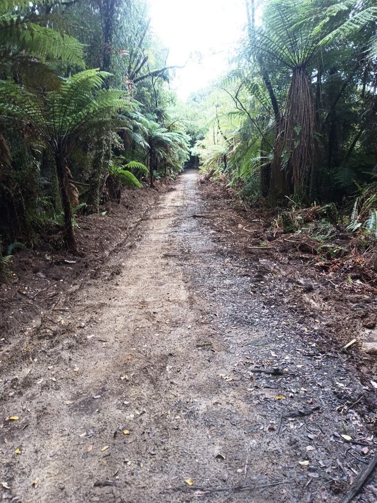 South Coast Track NZ