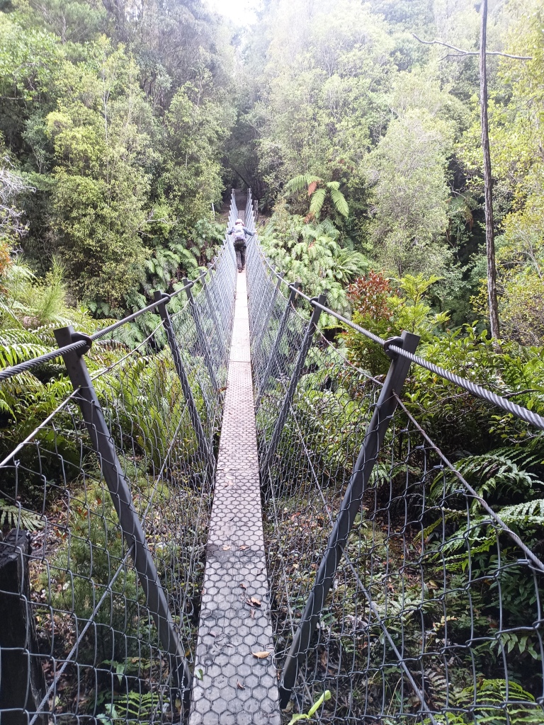 South Coast Track NZ